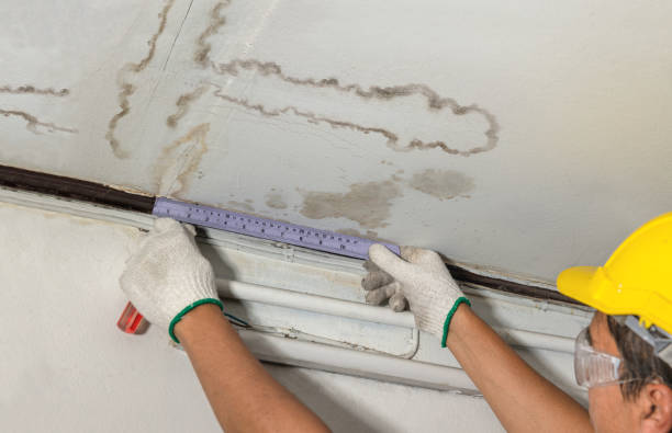 Reliable Water Damage contractor in Silt, CO by Water Damage Irwin